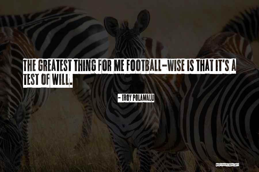 College Yaadein Quotes By Troy Polamalu College Yaadein Quotes By Troy Polamalu