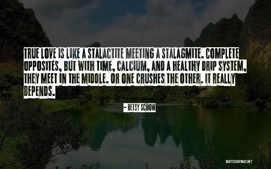 Collegiale Consultatie Quotes By Betsy Schow Collegiale Consultatie Quotes By Betsy Schow