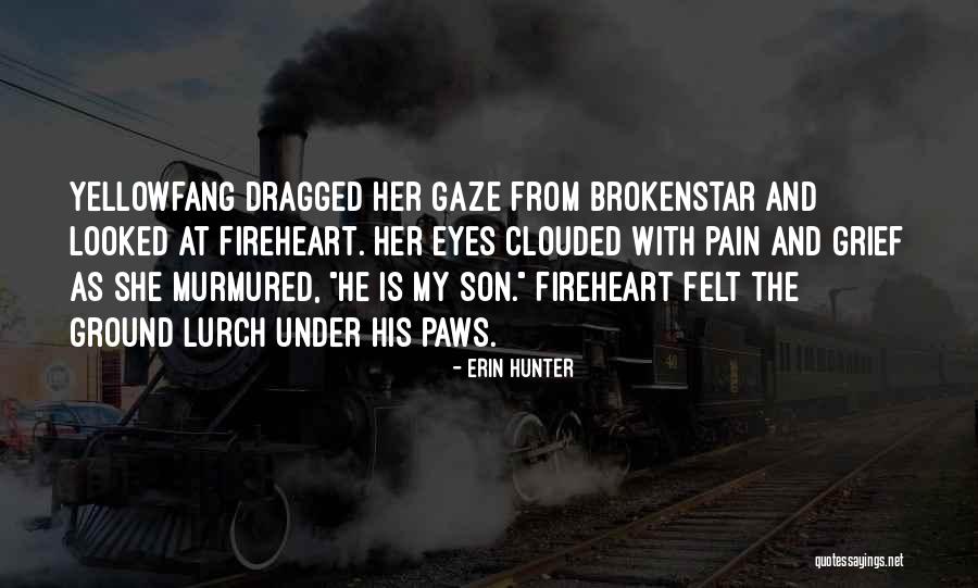 Collegio San Carlo Quotes By Erin Hunter Collegio San Carlo Quotes By Erin Hunter