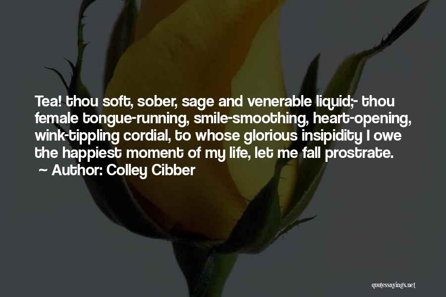 Colley Cibber Quotes 871118
