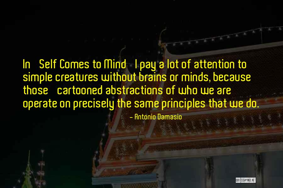 Collidescope Quotes By Antonio Damasio Collidescope Quotes By Antonio Damasio