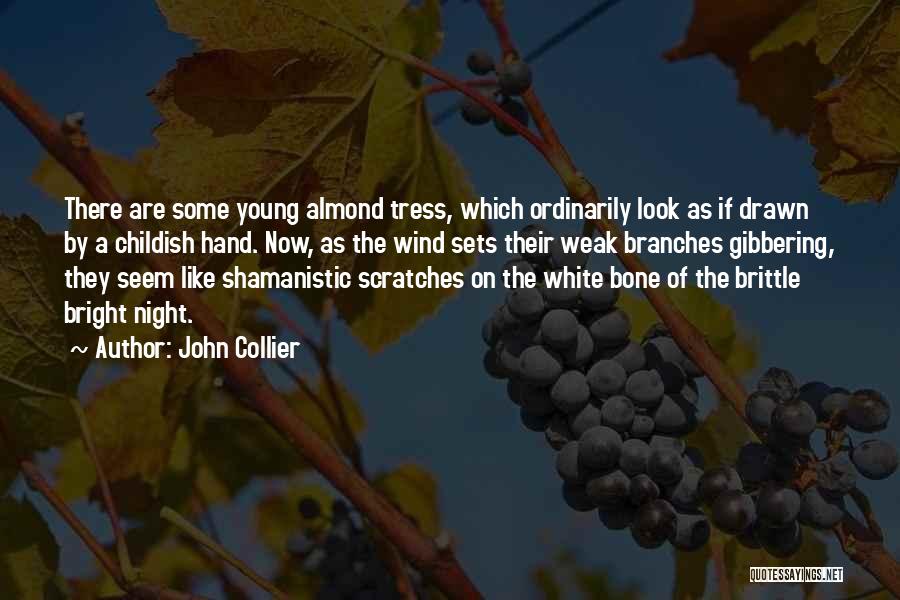 Collier Quotes By John Collier