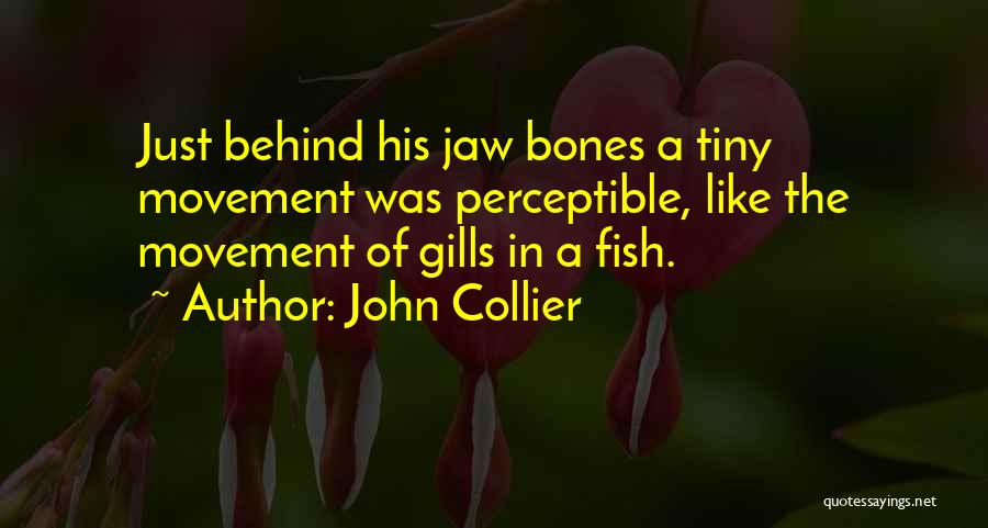 Collier Quotes By John Collier