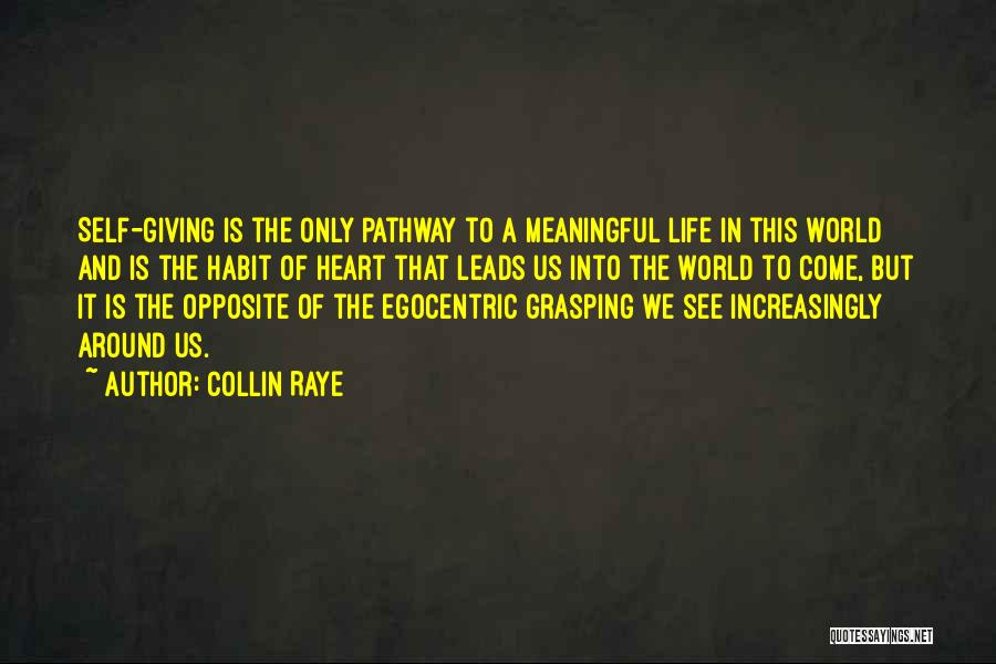 Collin Raye Quotes 684672