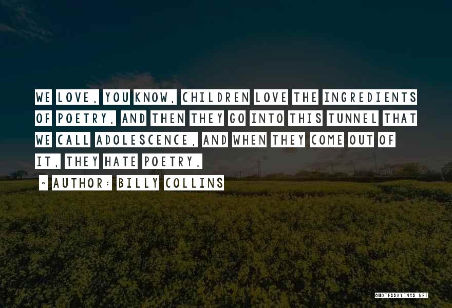 Collins Quotes By Billy Collins