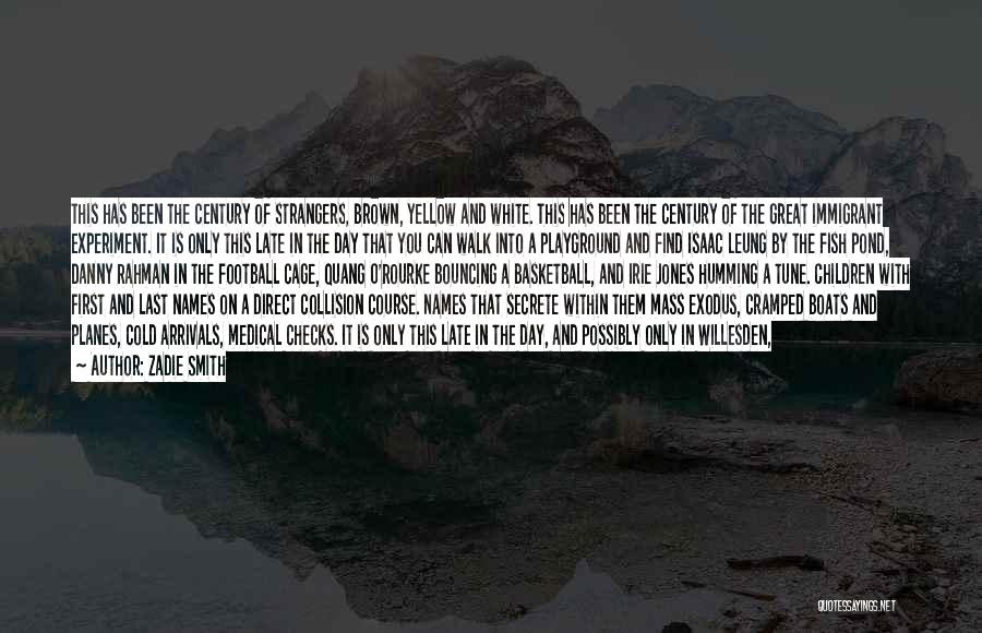 Collision Course Quotes By Zadie Smith