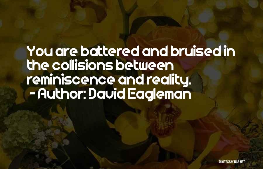 Collisions Quotes By David Eagleman