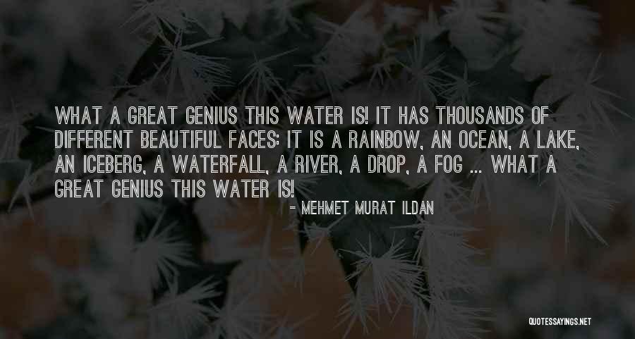 Collister Elementary Quotes By Mehmet Murat Ildan Collister Elementary Quotes By Mehmet Murat Ildan