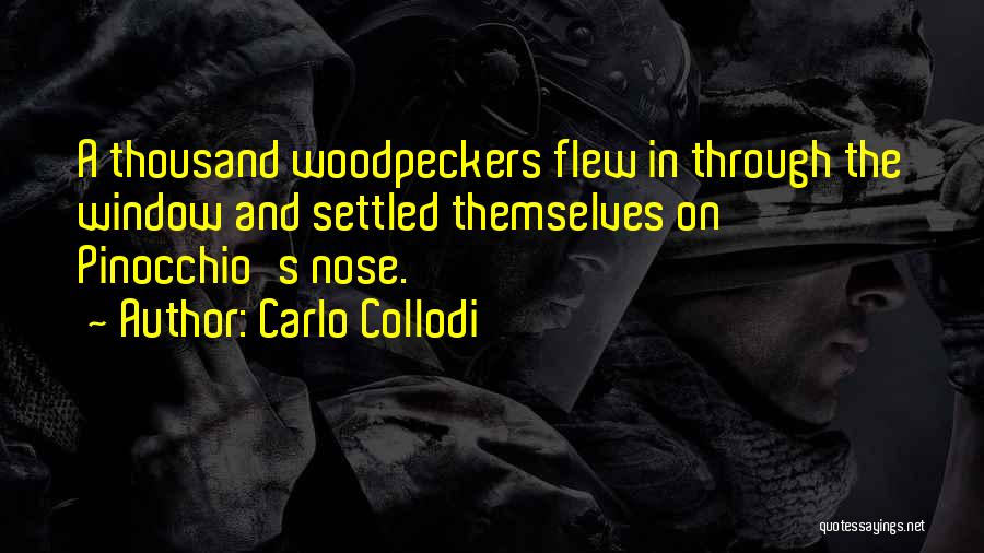 Collodi Pinocchio Quotes By Carlo Collodi