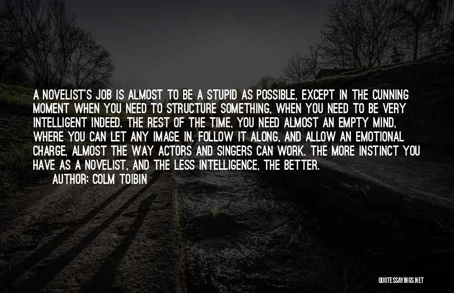 Colm Toibin Quotes 1443274