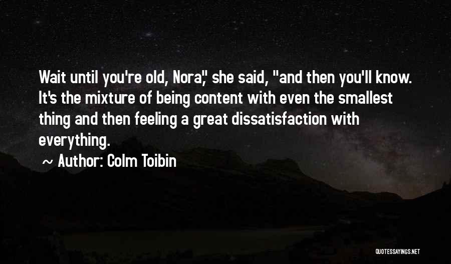 Colm Toibin Quotes 1507912