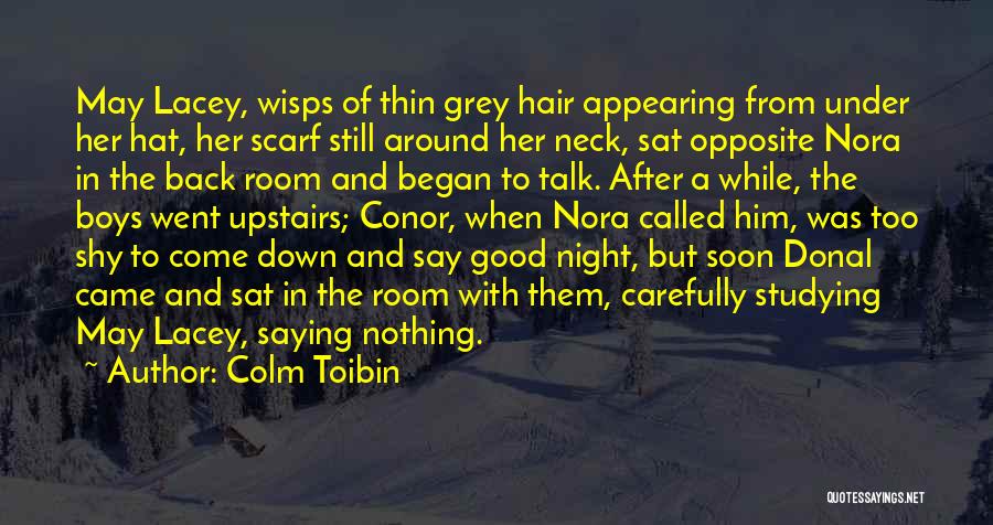 Colm Toibin Quotes 339153