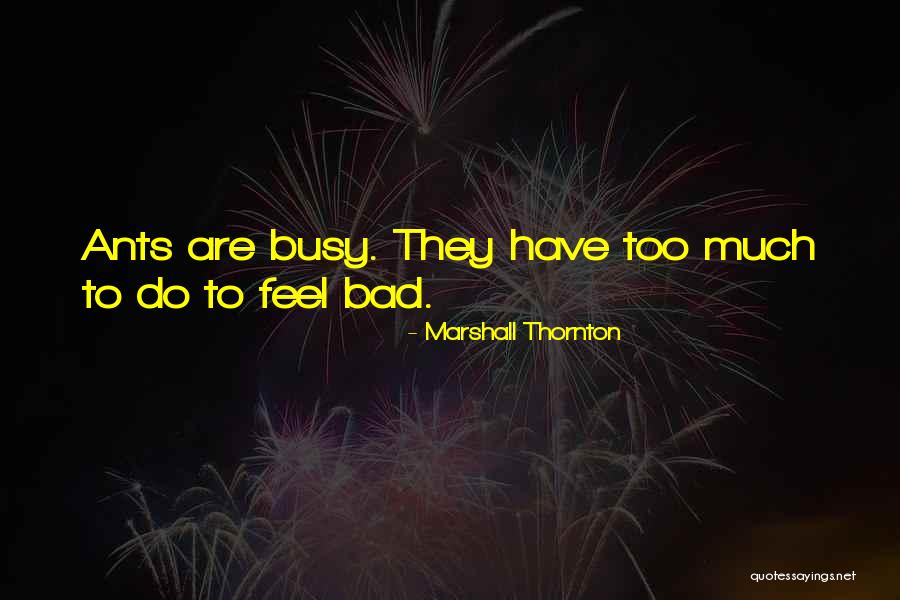 Colocado Establecido Quotes By Marshall Thornton Colocado Establecido Quotes By Marshall Thornton