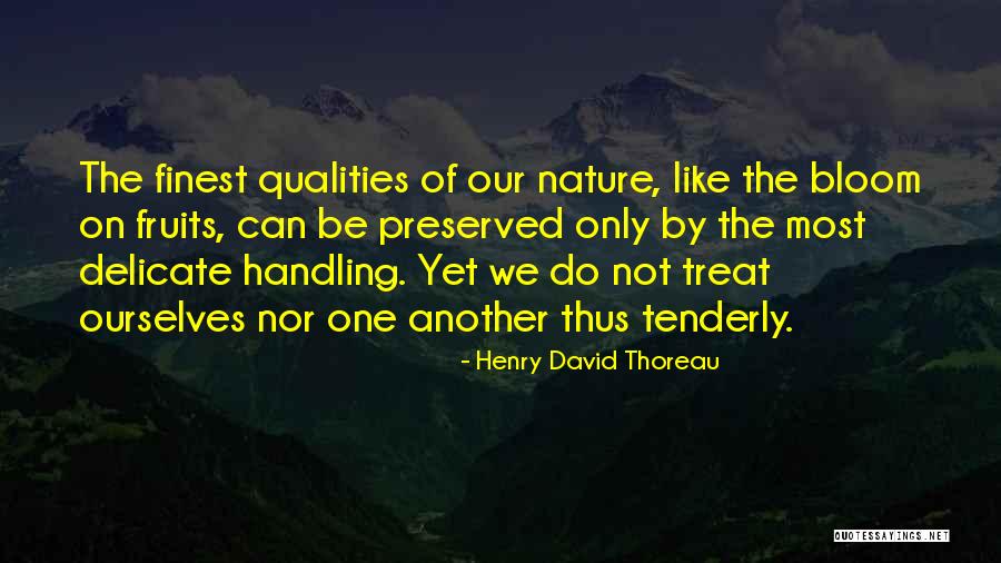 Colocados 2019 Quotes By Henry David Thoreau Colocados 2019 Quotes By Henry David Thoreau