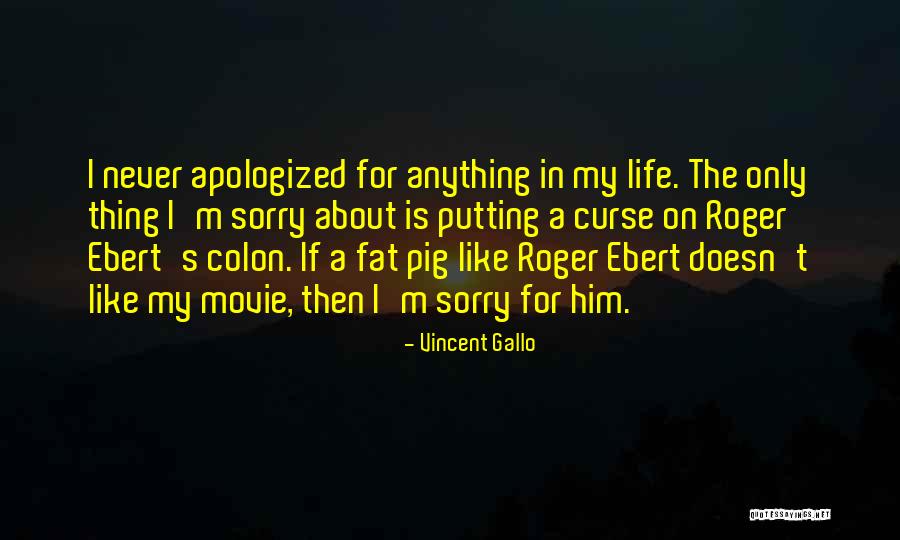Colon For Quotes By Vincent Gallo Colon For Quotes By Vincent Gallo