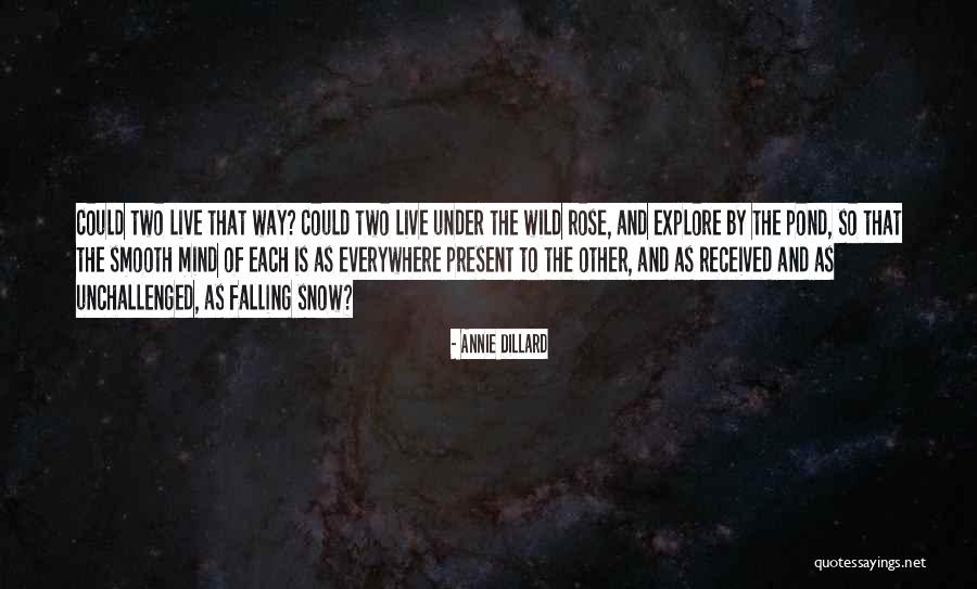 Colonics And Weight Quotes By Annie Dillard Colonics And Weight Quotes By Annie Dillard