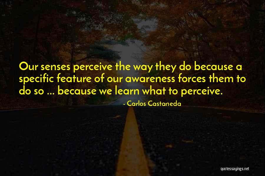 Colonne Vertebrale Quotes By Carlos Castaneda Colonne Vertebrale Quotes By Carlos Castaneda