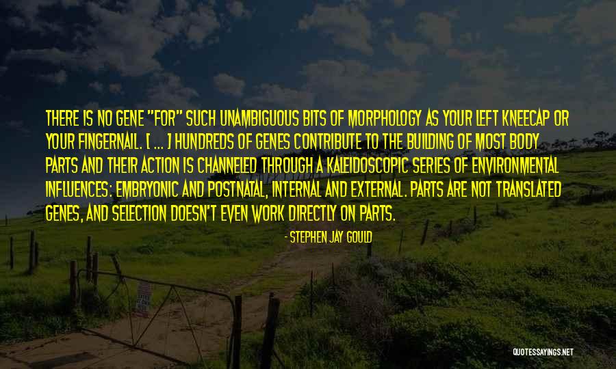 Coloquios English Quotes By Stephen Jay Gould Coloquios English Quotes By Stephen Jay Gould