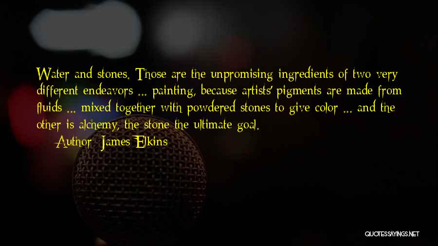 Color Artists Quotes By James Elkins