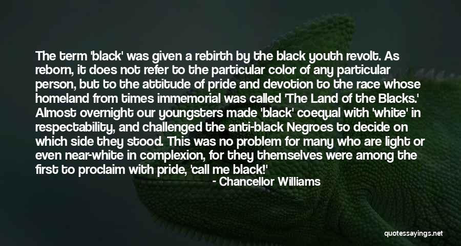 Color Complexion Quotes By Chancellor Williams