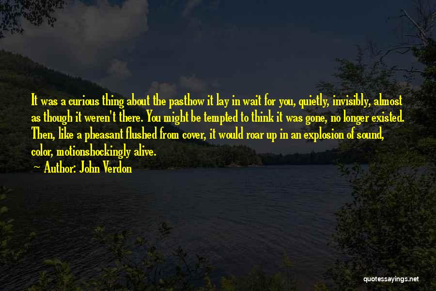 Color Explosion Quotes By John Verdon