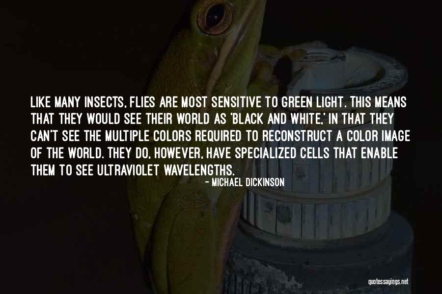 Color In A Black And White World Quotes By Michael Dickinson Color In A Black And White World Quotes By Michael Dickinson