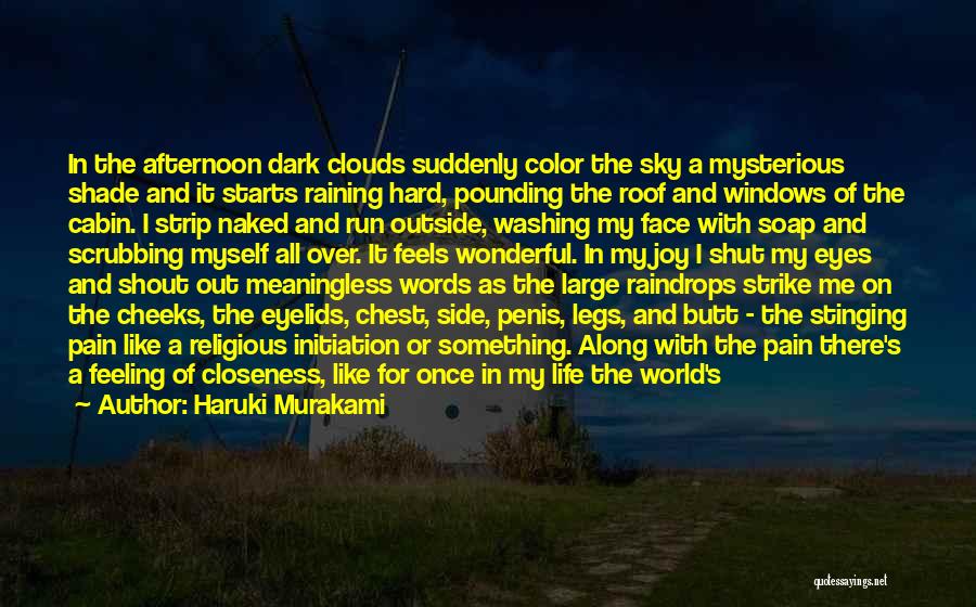 Color Me Dark Quotes By Haruki Murakami
