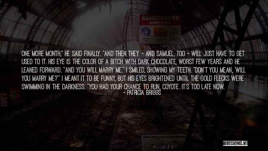 Color Me Dark Quotes By Patricia Briggs