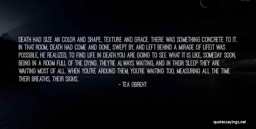 Color Of Death Quotes By Tea Obreht Color Of Death Quotes By Tea Obreht