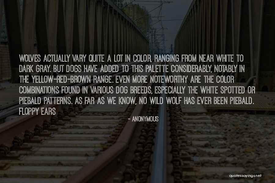 Color Yellow Quotes By Anonymous Color Yellow Quotes By Anonymous