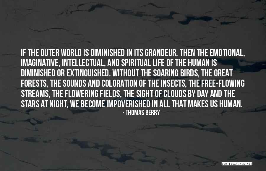 Coloration In Birds Quotes By Thomas Berry Coloration In Birds Quotes By Thomas Berry