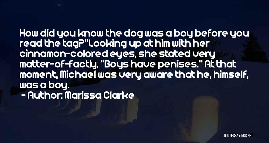 Colored Eyes Quotes By Marissa Clarke