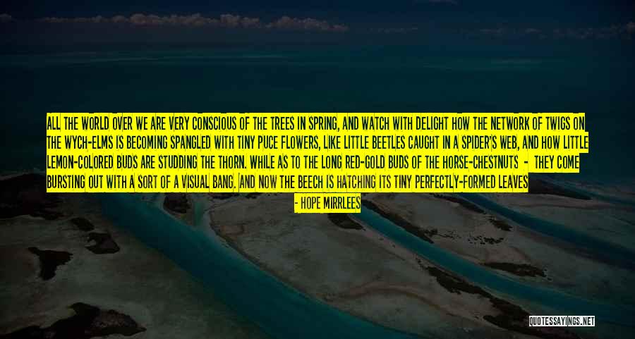 Colored Leaves Quotes By Hope Mirrlees Colored Leaves Quotes By Hope Mirrlees