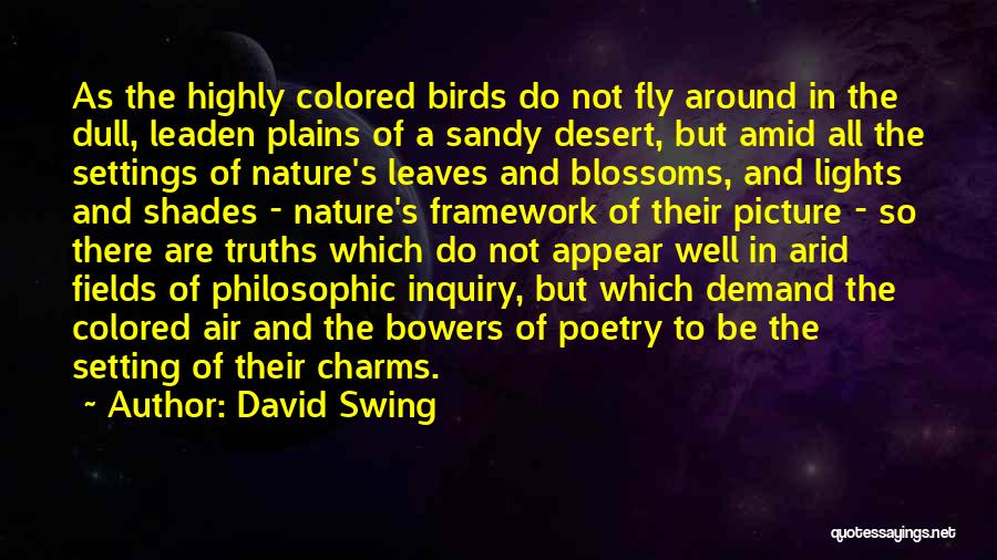 Colored Light Quotes By David Swing