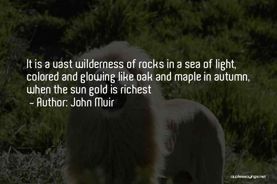 Colored Light Quotes By John Muir