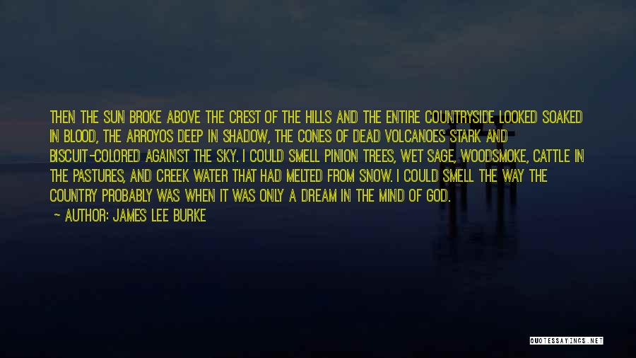 Colored Sky Quotes By James Lee Burke