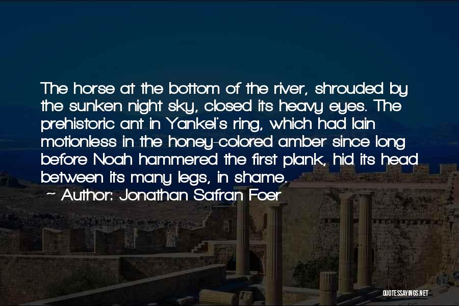 Colored Sky Quotes By Jonathan Safran Foer