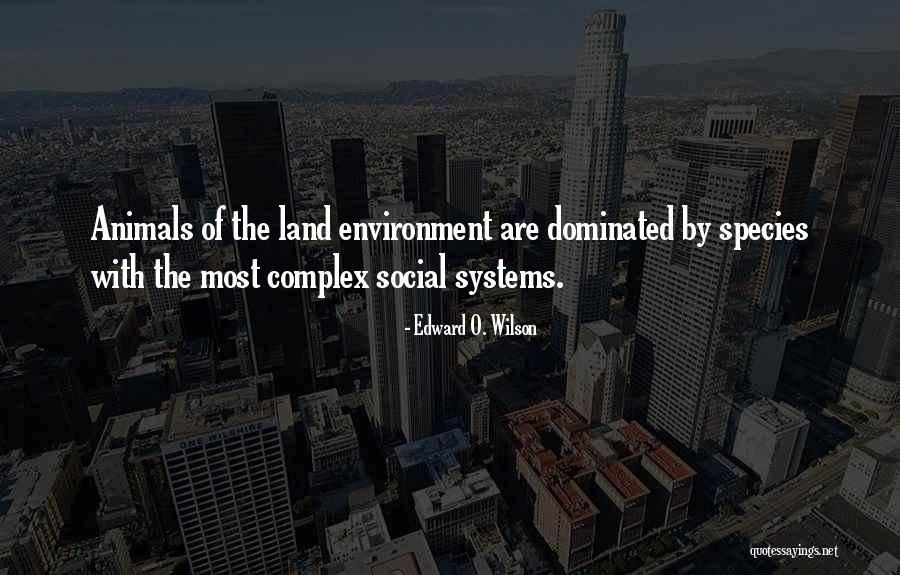 Coloreds Laundry Quotes By Edward O. Wilson Coloreds Laundry Quotes By Edward O. Wilson
