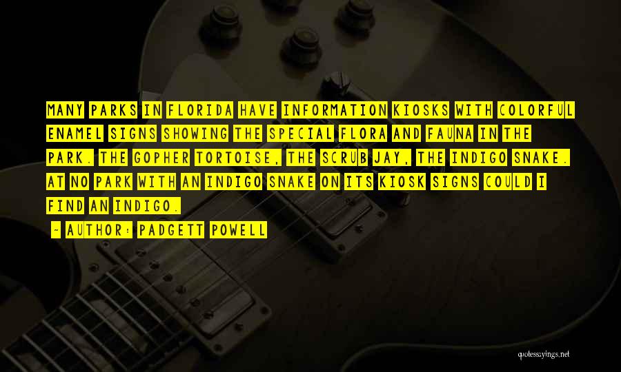 Colorful Quotes By Padgett Powell