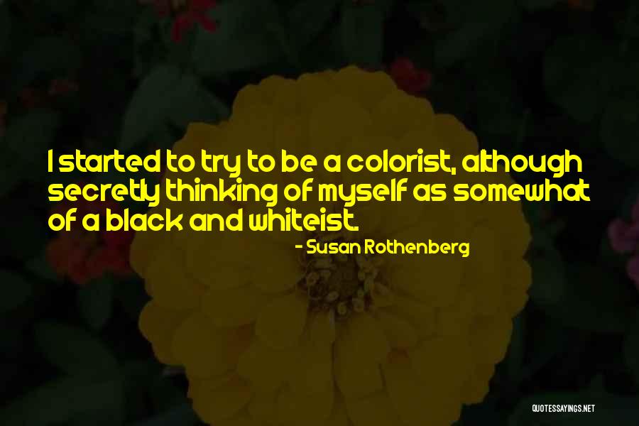 Colorist Quotes By Susan Rothenberg Colorist Quotes By Susan Rothenberg