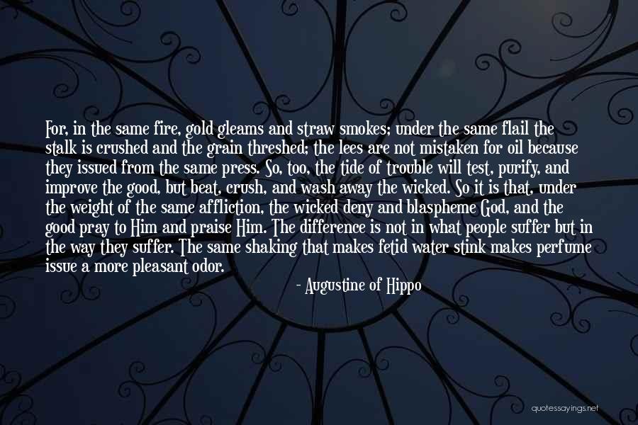 Colorizing Shampoo Quotes By Augustine Of Hippo Colorizing Shampoo Quotes By Augustine Of Hippo