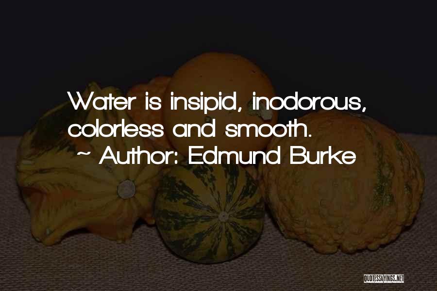 Colorless Quotes By Edmund Burke