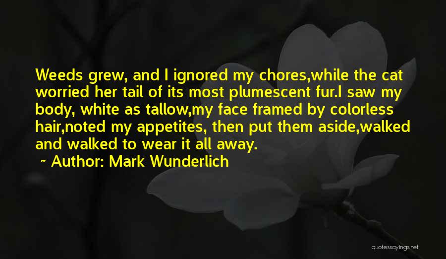 Colorless Quotes By Mark Wunderlich