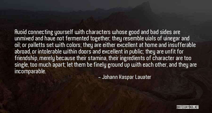 Colors And Friendship Quotes By Johann Kaspar Lavater