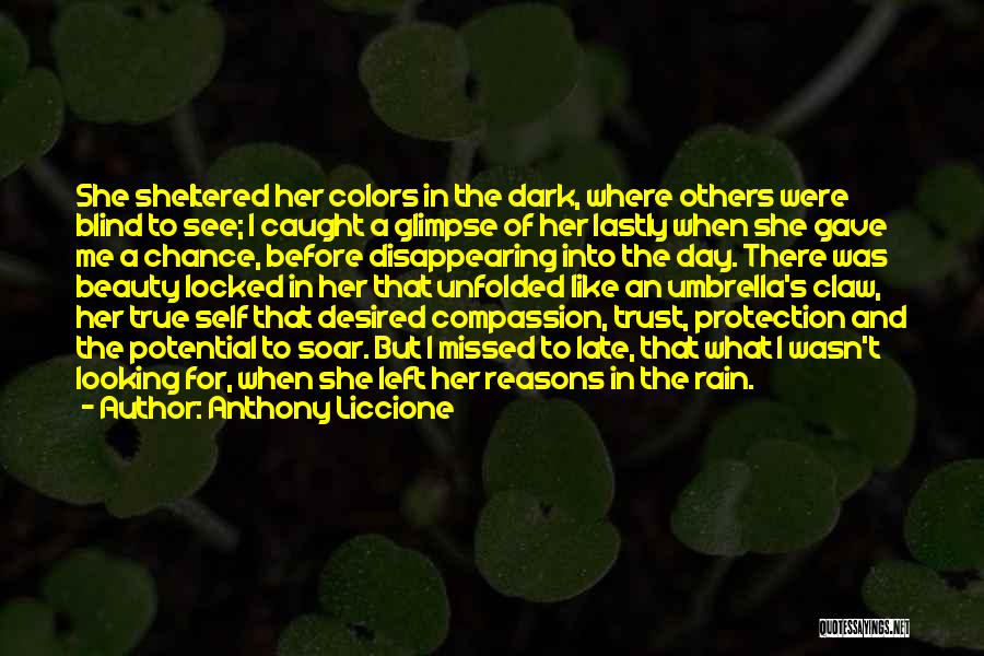 Colors Day Quotes By Anthony Liccione