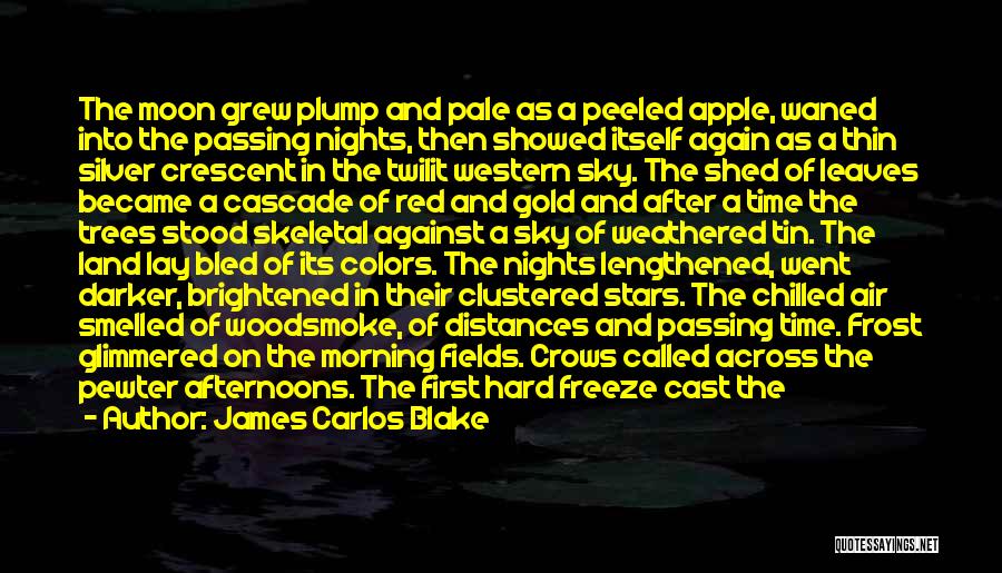 Colors Day Quotes By James Carlos Blake
