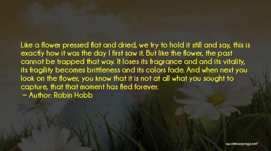 Colors Day Quotes By Robin Hobb