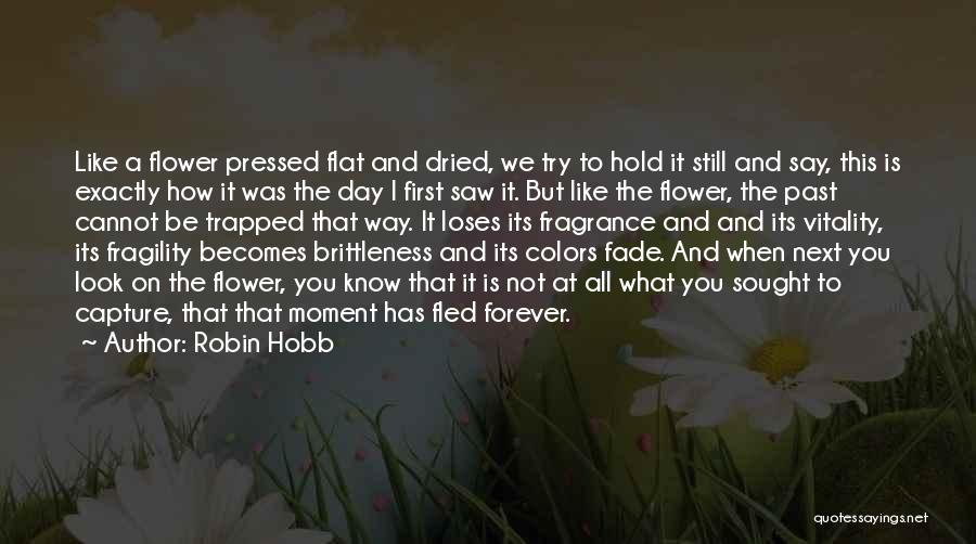 Colors Fade Quotes By Robin Hobb