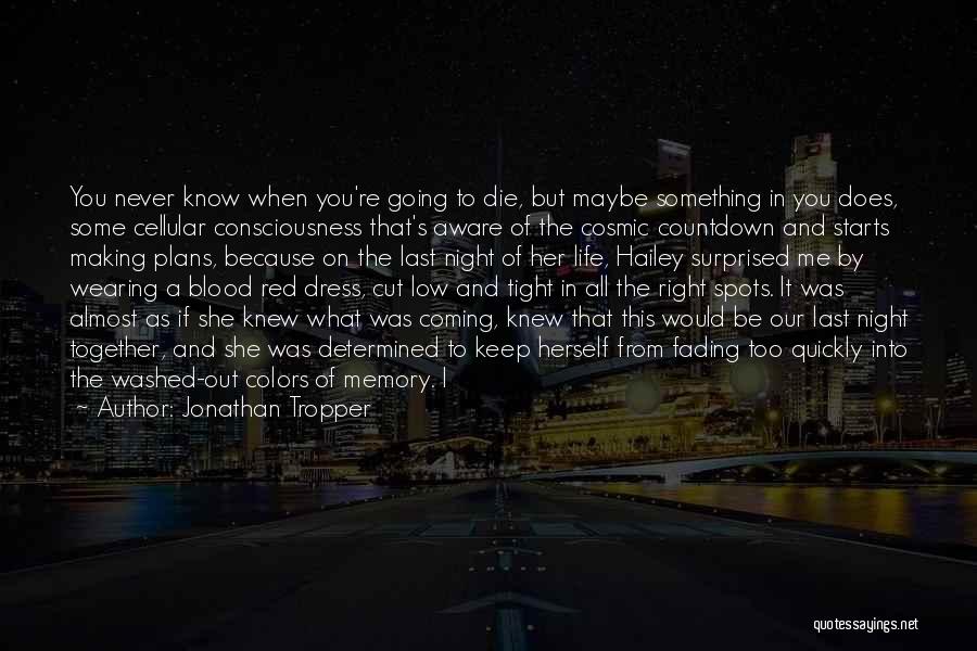 Colors Fading Quotes By Jonathan Tropper