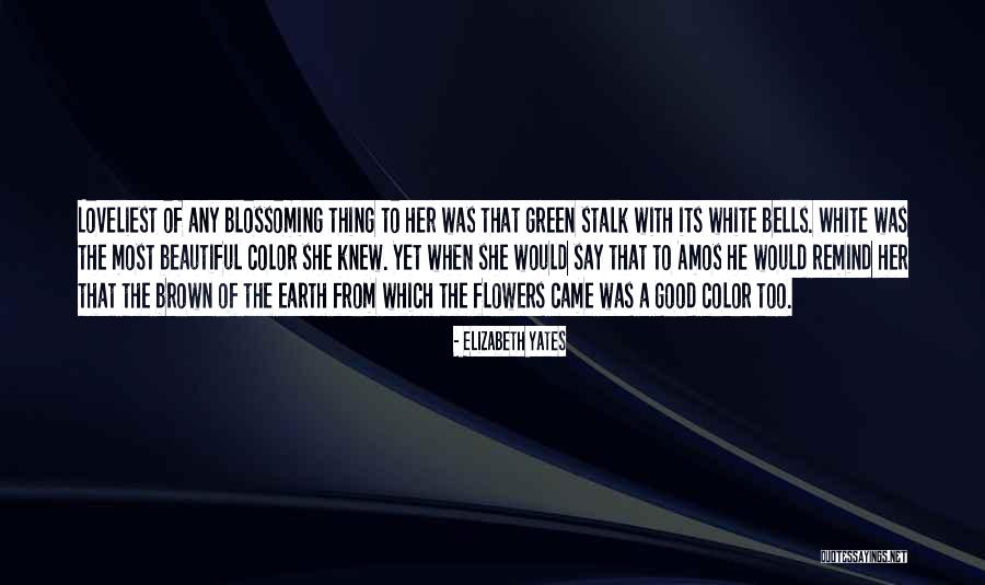 Colors Flowers Quotes By Elizabeth Yates